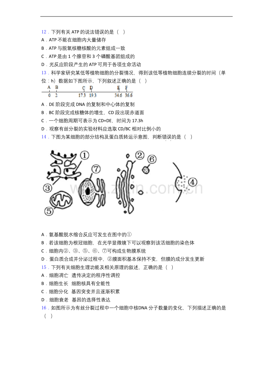 上海市高一上学期生物期末试卷(有答案).docx_第3页