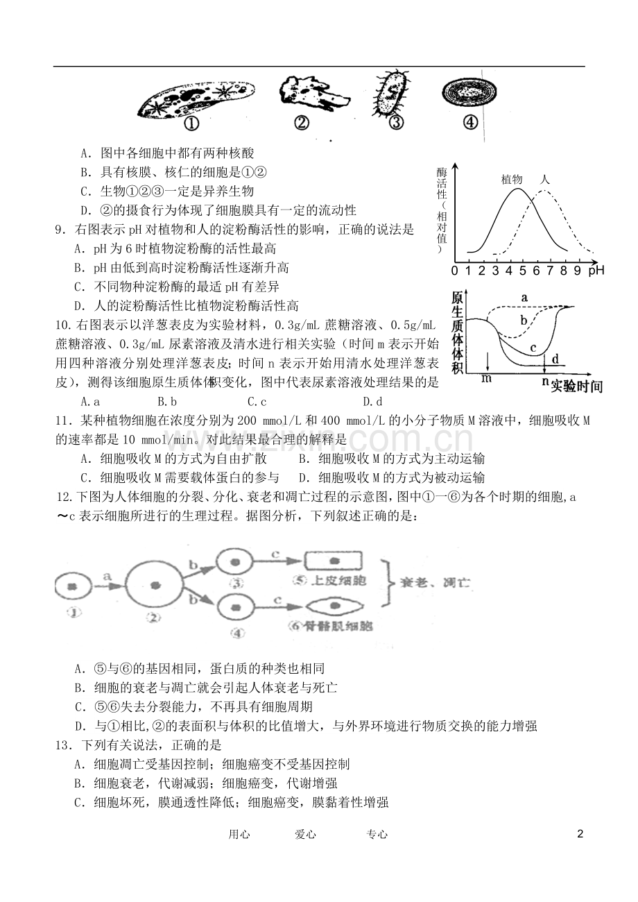 广东省汕头市金山中学2011-2012学年高一生物3月月考试题.doc_第2页