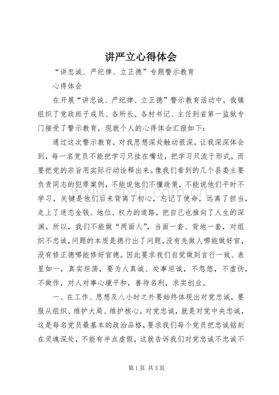 讲严立体会心得.docx_第1页