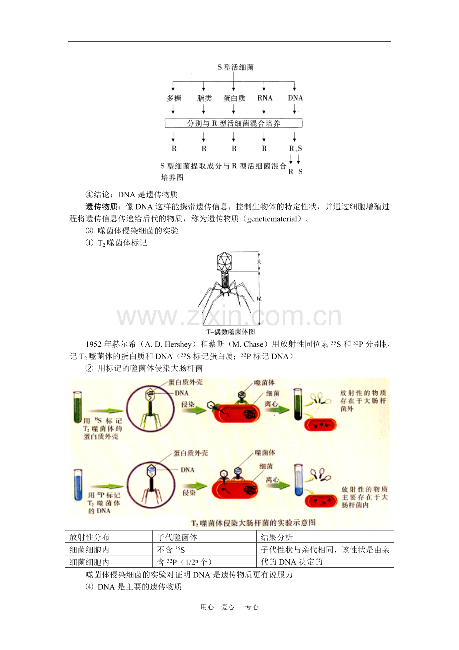 高一生物下学期期末复习苏教版-知识精讲.doc_第2页