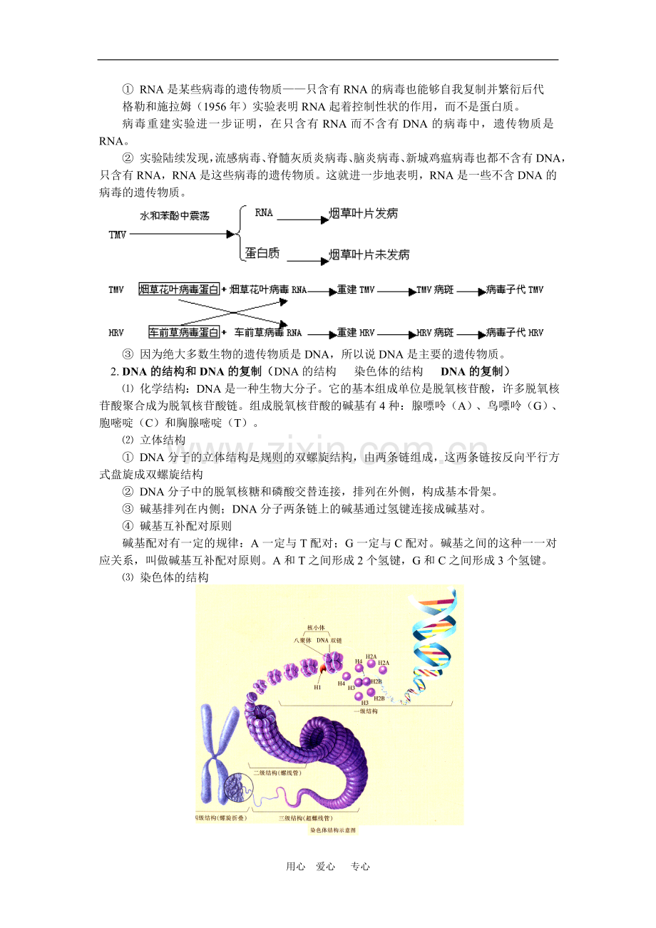 高一生物下学期期末复习苏教版-知识精讲.doc_第3页