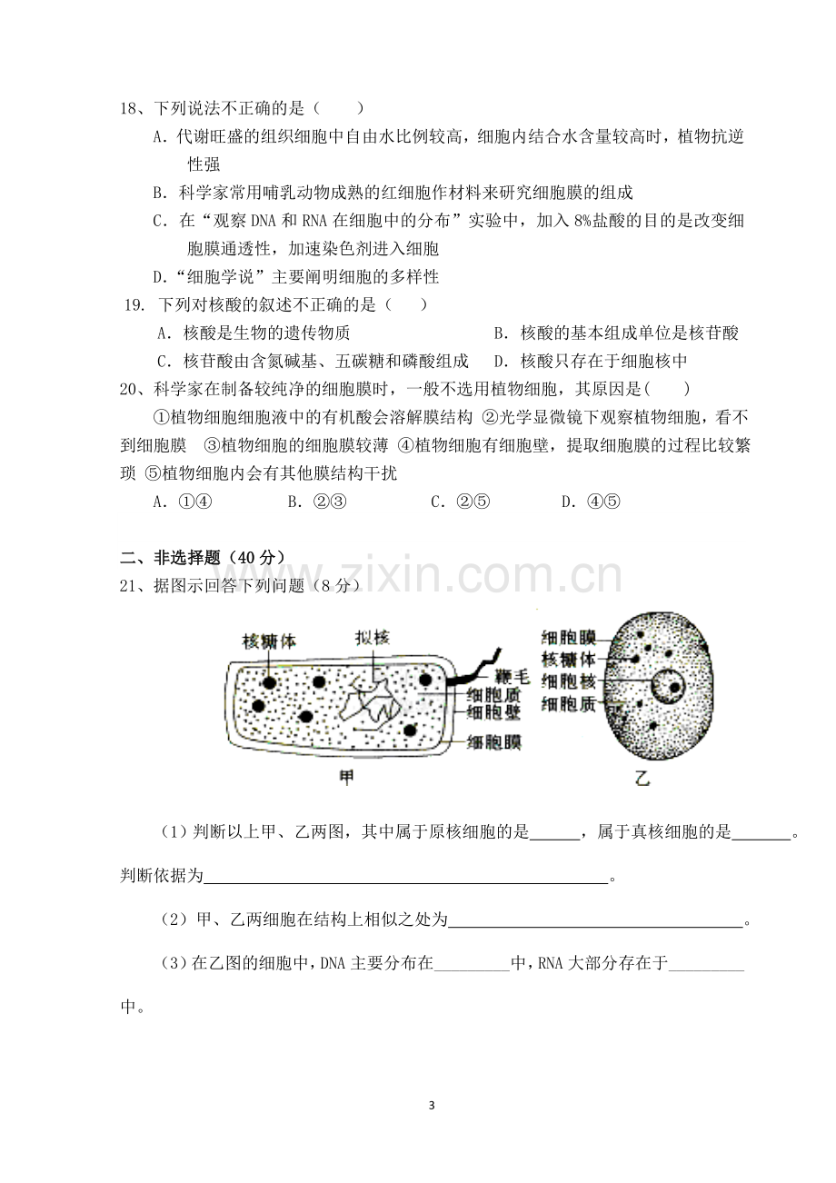 高中生物必修一期中考试(已整理).doc_第3页