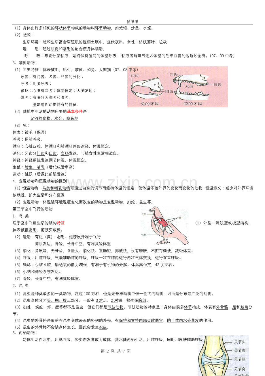 八年级生物上册知识点总结(全面).doc_第2页