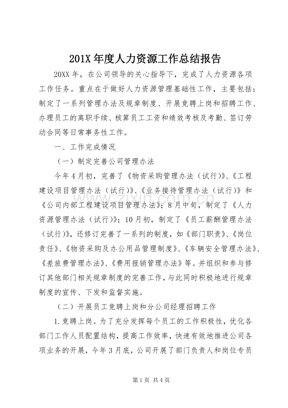 202X年度人力资源工作总结报告.docx_第1页