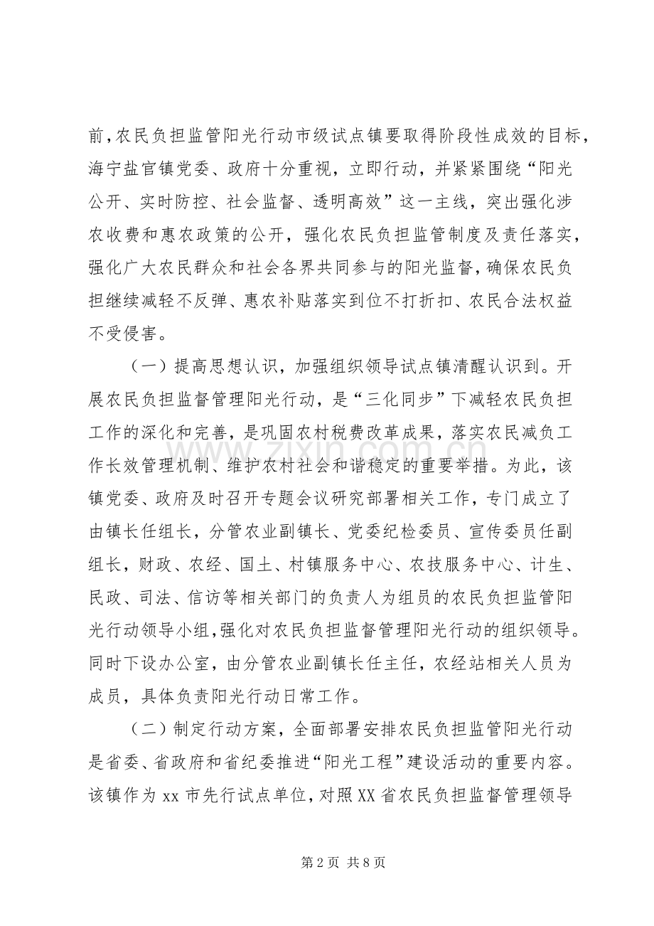 农民负担监管行动工作总结 .docx_第2页