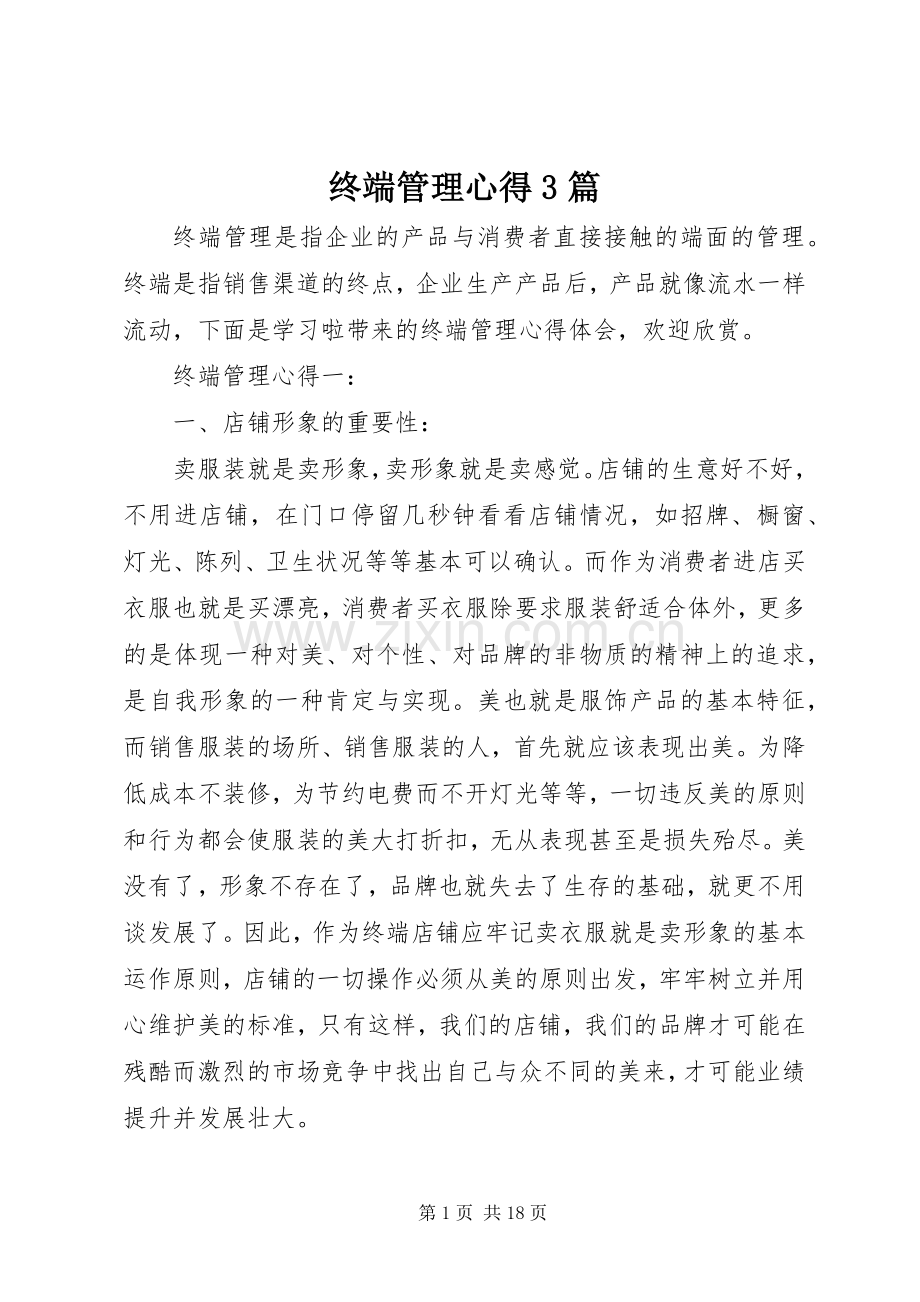 终端管理心得3篇.docx_第1页