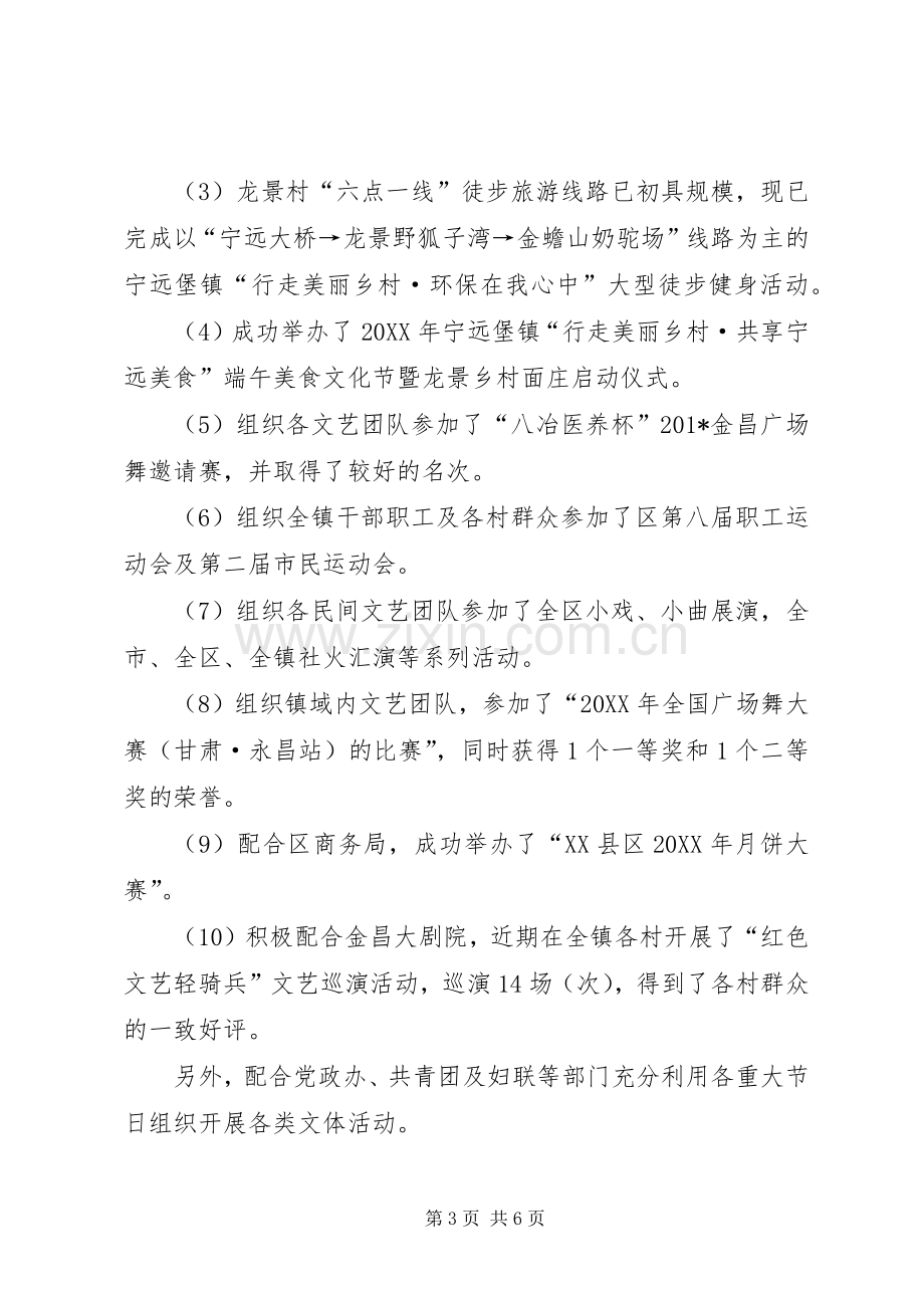 202X年镇文化服务中心工作总结.docx_第3页