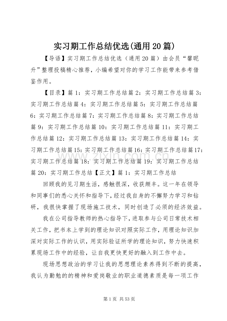 实习期工作总结优选(通用20篇).docx_第1页