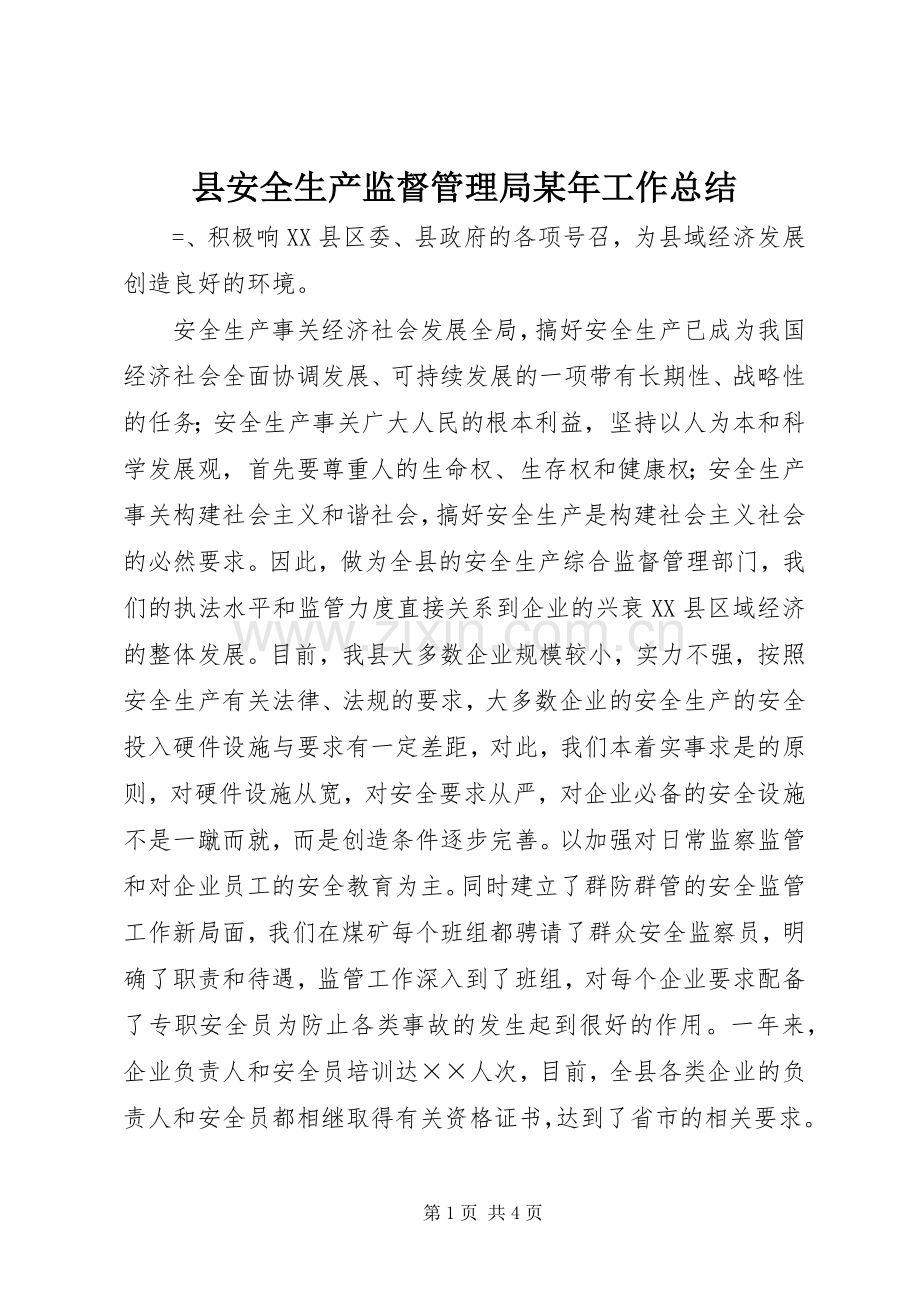 县安全生产监督管理局某年工作总结 .docx_第1页