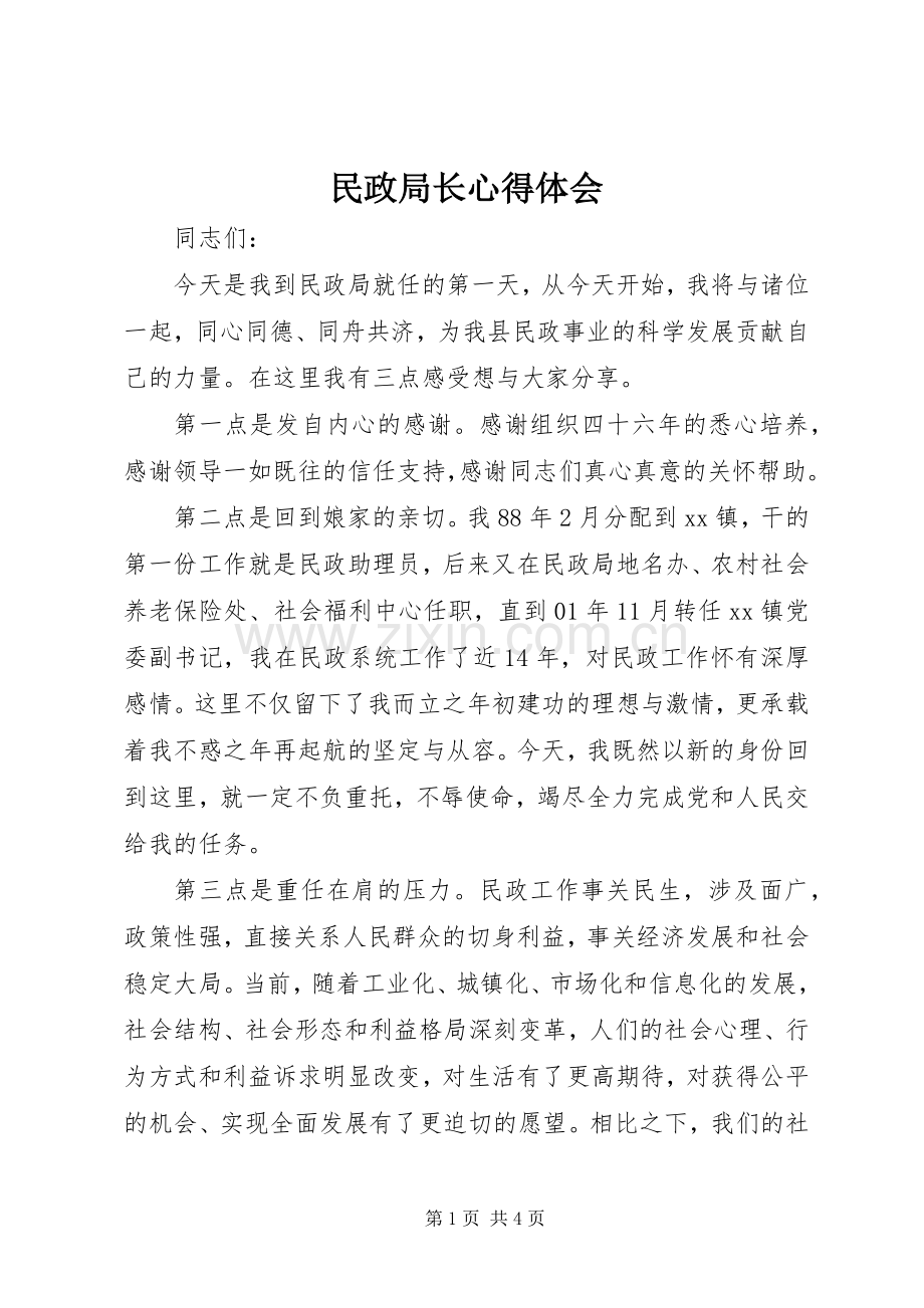 民政局长体会心得.docx_第1页