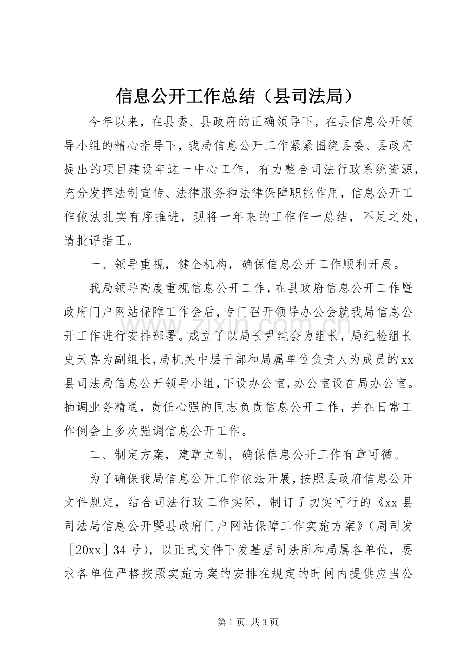 信息公开工作总结（县司法局） .docx_第1页