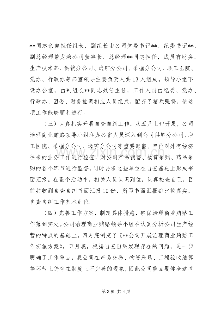 公司治理商业贿赂专项工作总结 .docx_第3页