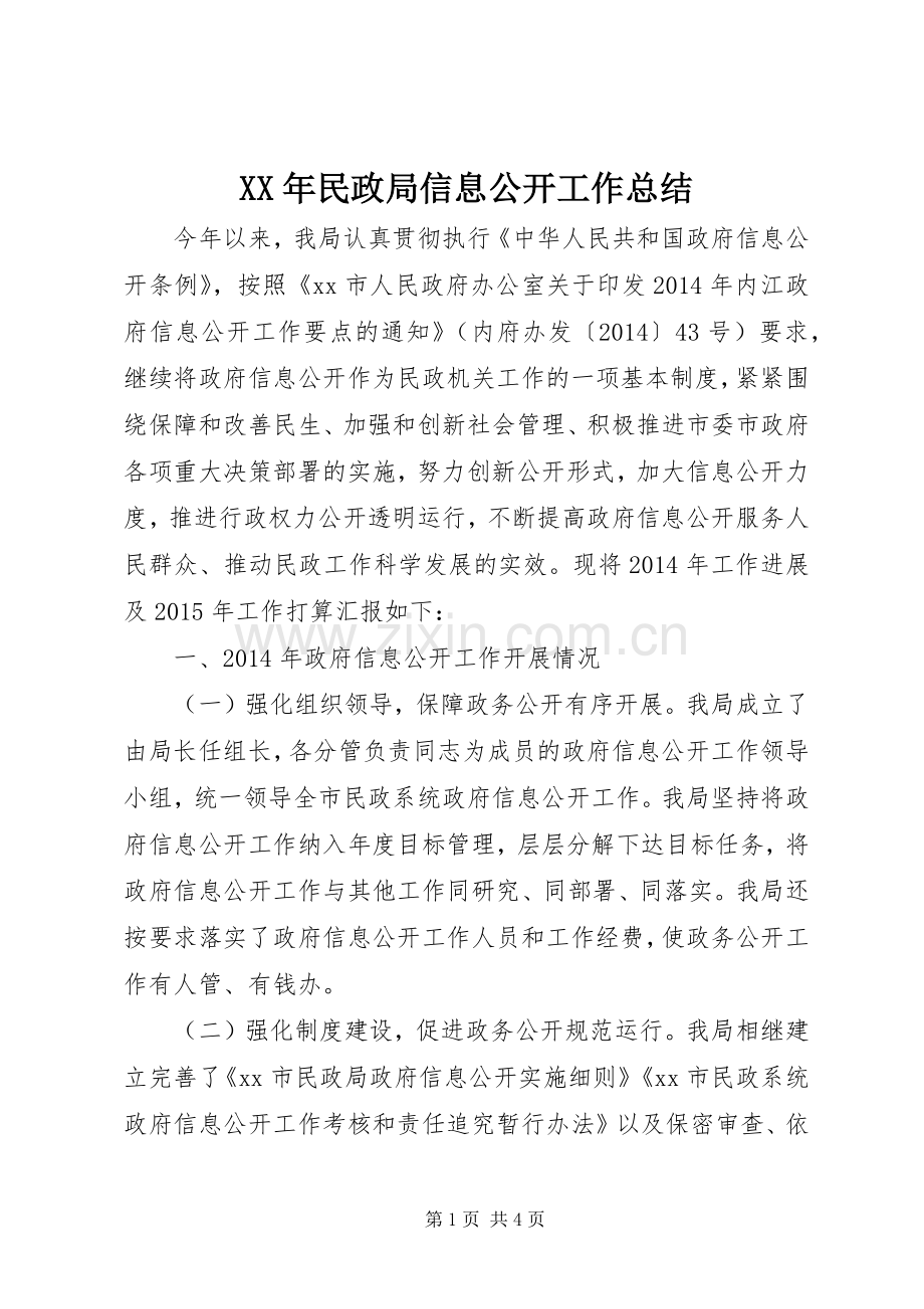 XX年民政局信息公开工作总结 .docx_第1页