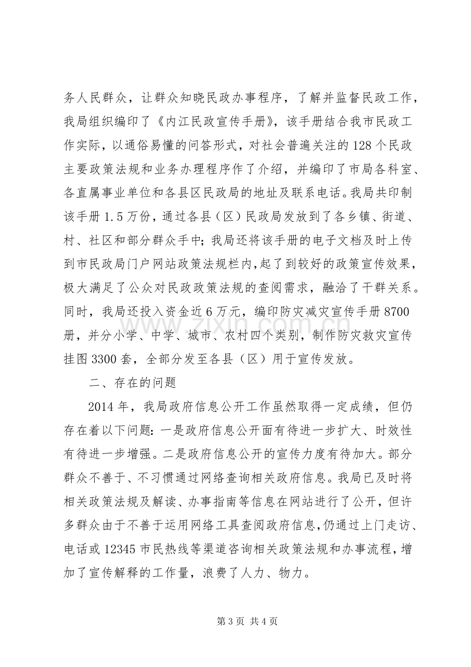 XX年民政局信息公开工作总结 .docx_第3页