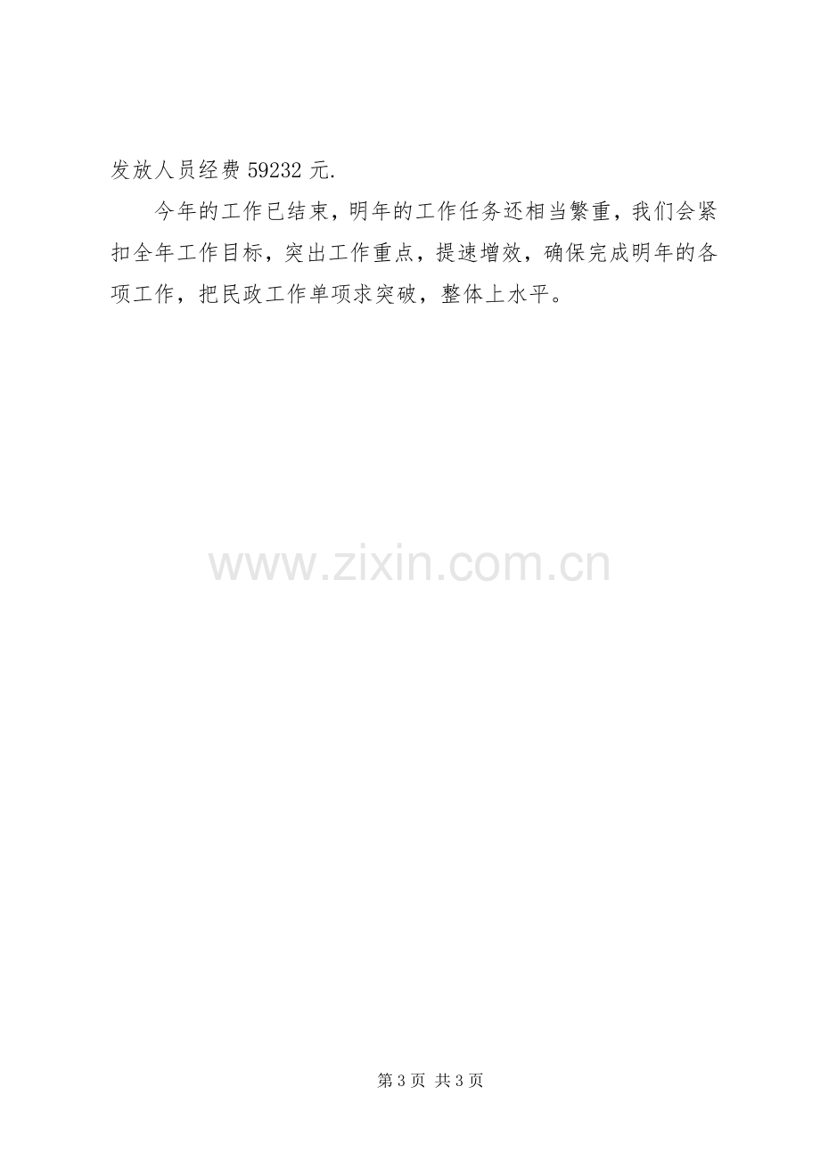 乡镇民政办工作总结 .docx_第3页