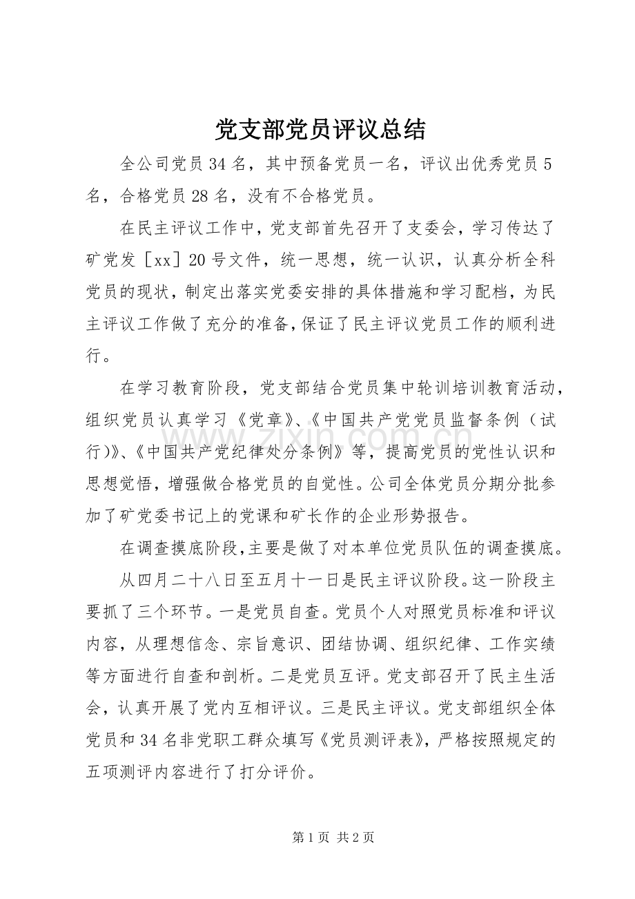 党支部党员评议总结 .docx_第1页