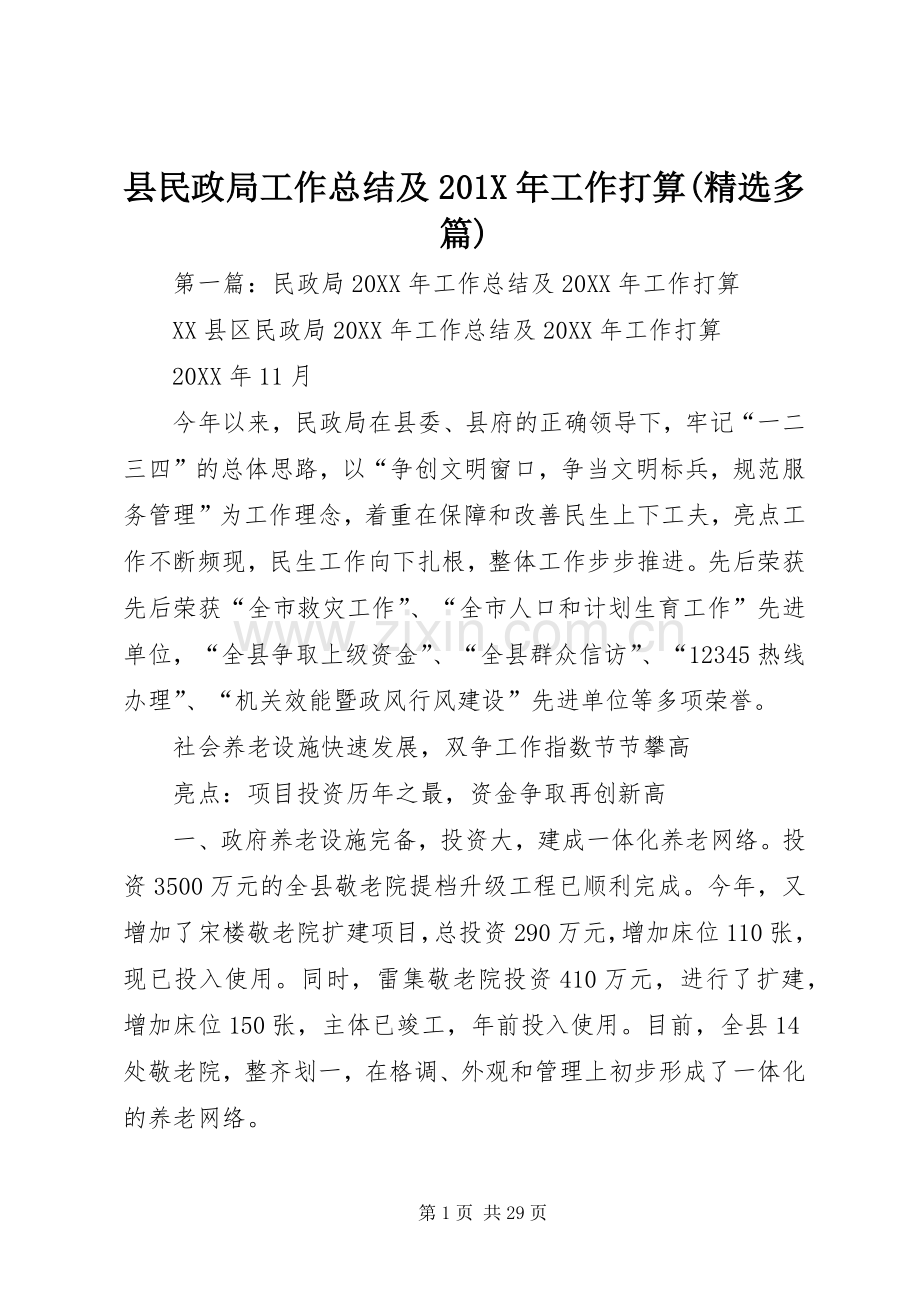 县民政局工作总结及202X年工作打算(多篇).docx_第1页