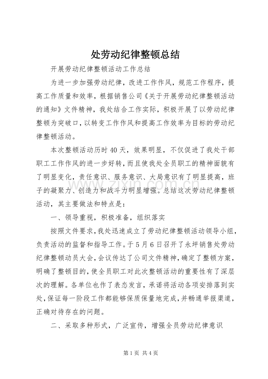 处劳动纪律整顿总结 .docx_第1页