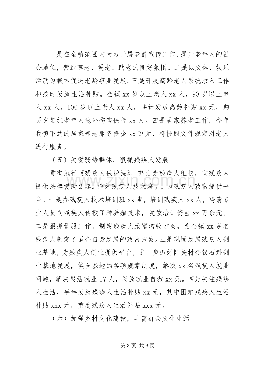 乡镇社事办202X年半年工作总结.docx_第3页