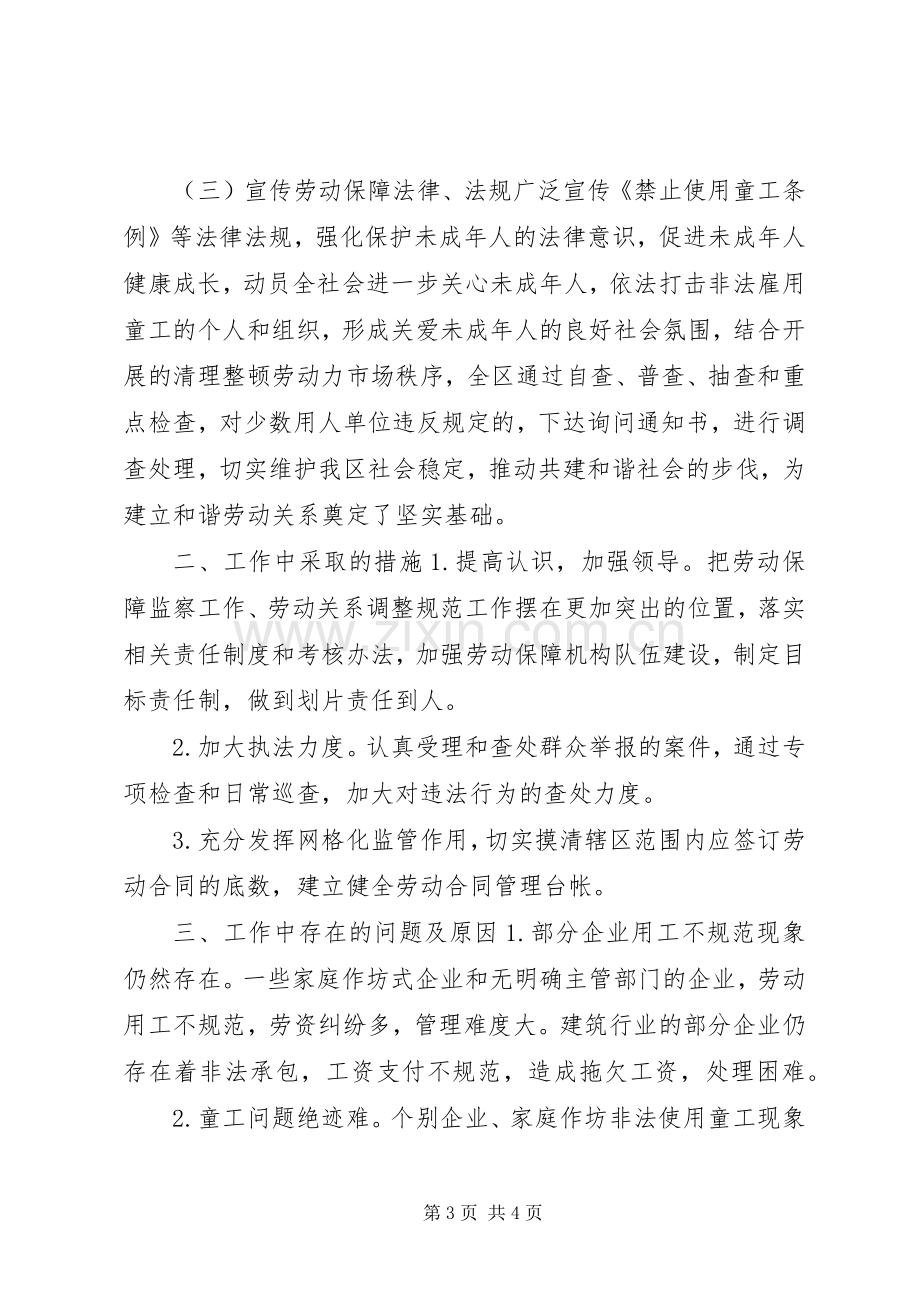 劳动监察大队上半年工作总结 .docx_第3页