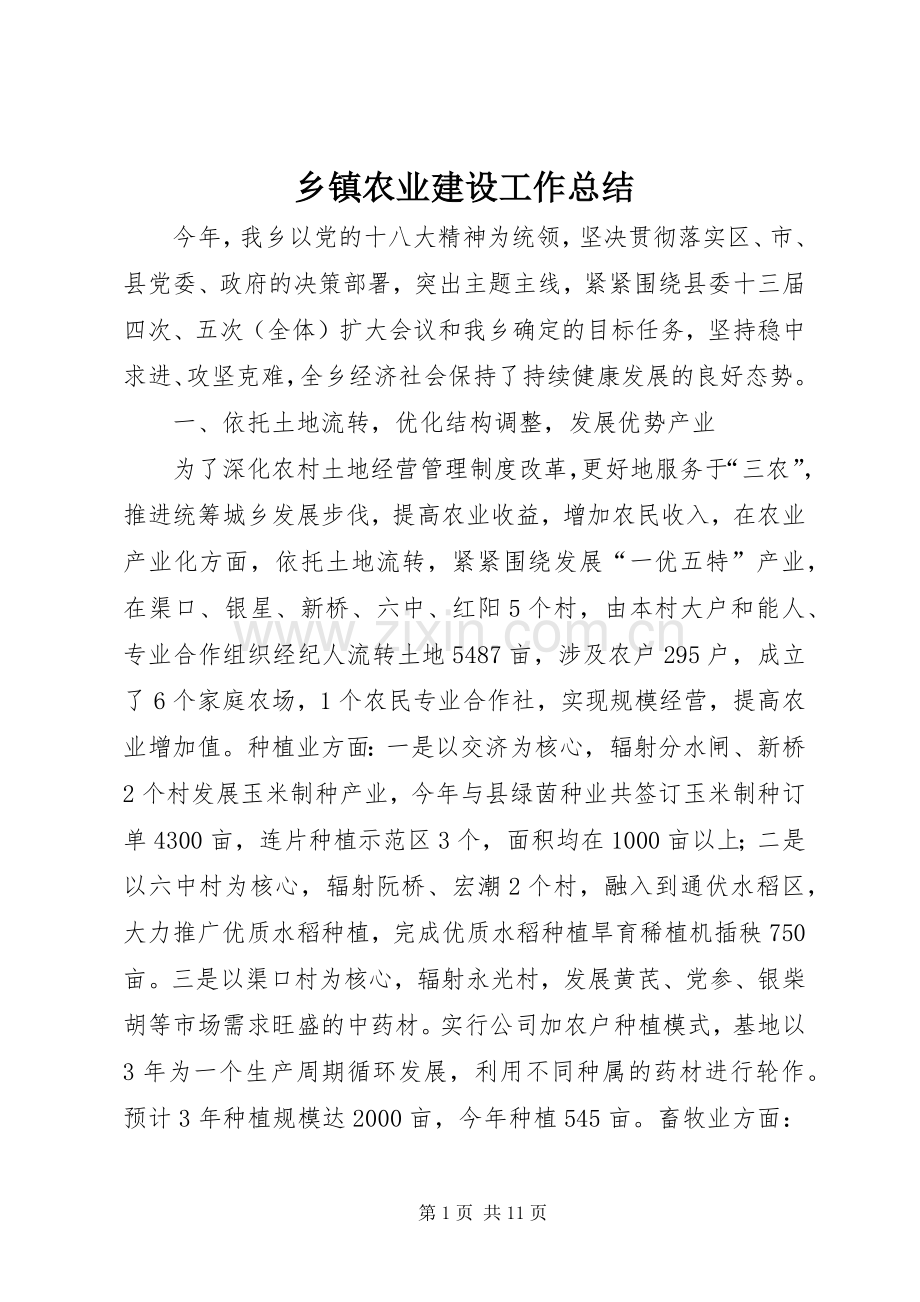 乡镇农业建设工作总结 .docx_第1页