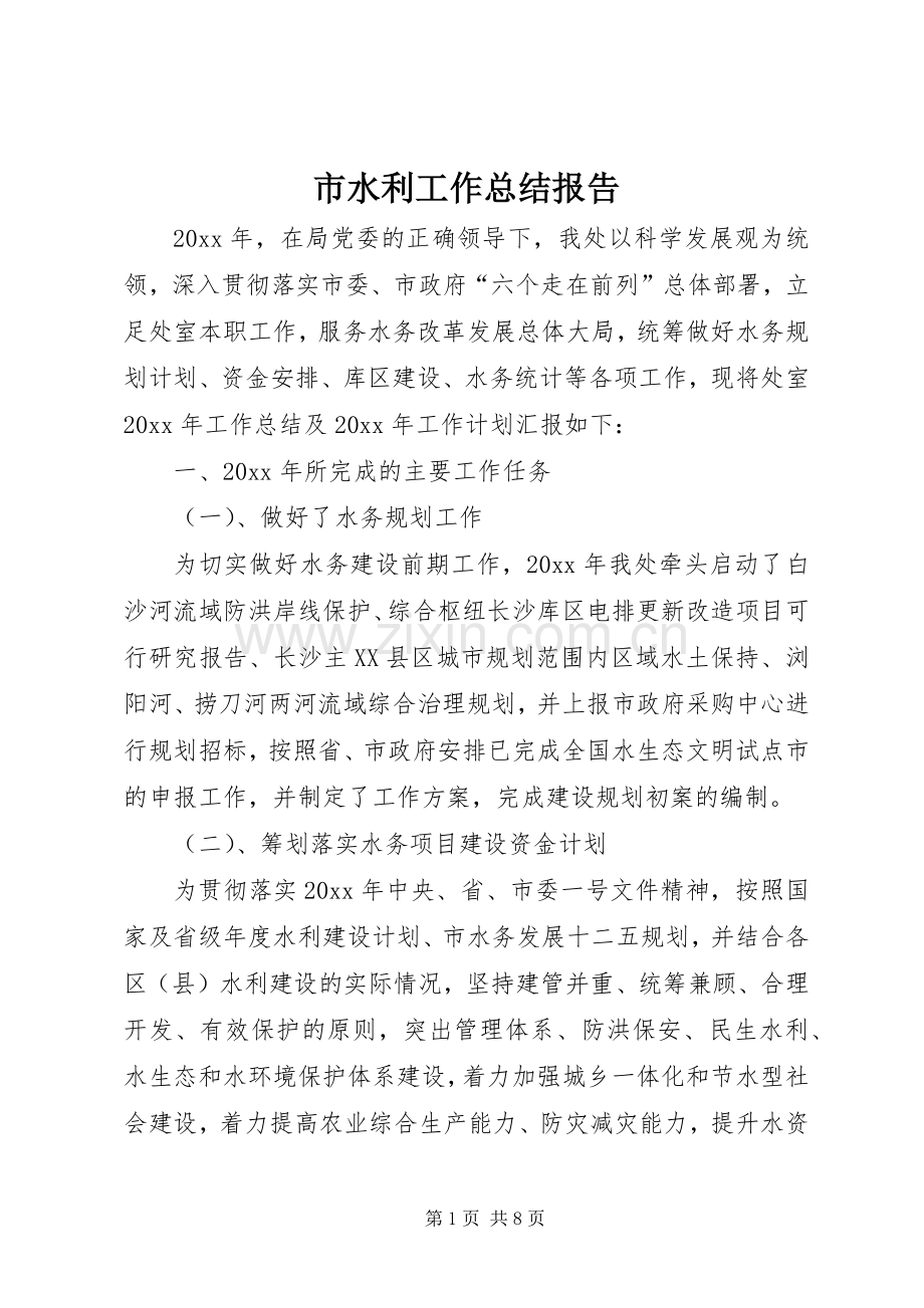 市水利工作总结报告 .docx_第1页