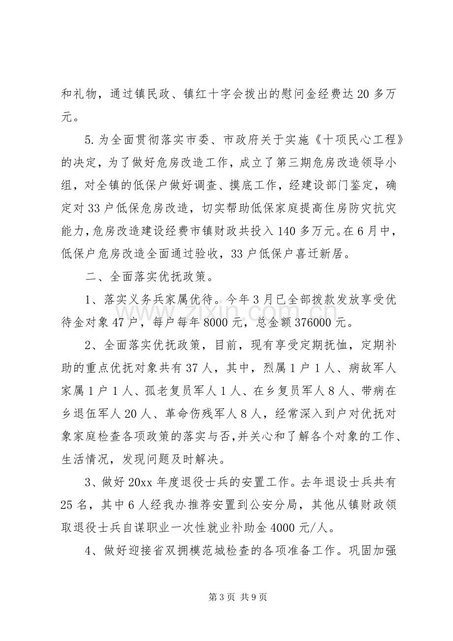 乡镇社会事务办工作总结 .docx_第3页