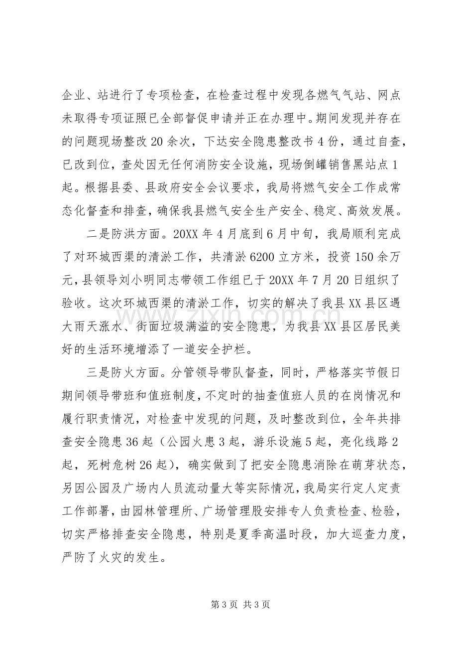 城镇管理局安全生产年终工作总结 .docx_第3页