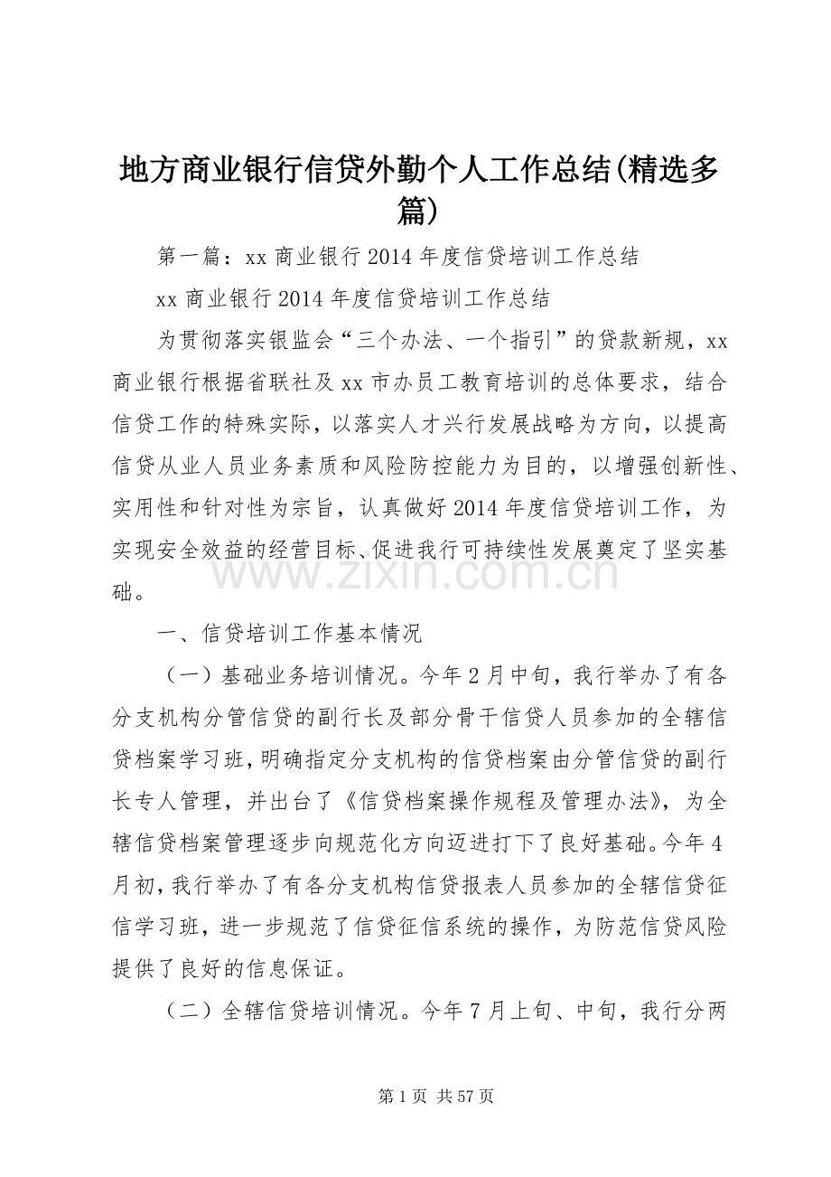 地方商业银行信贷外勤个人工作总结(多篇) .docx_第1页