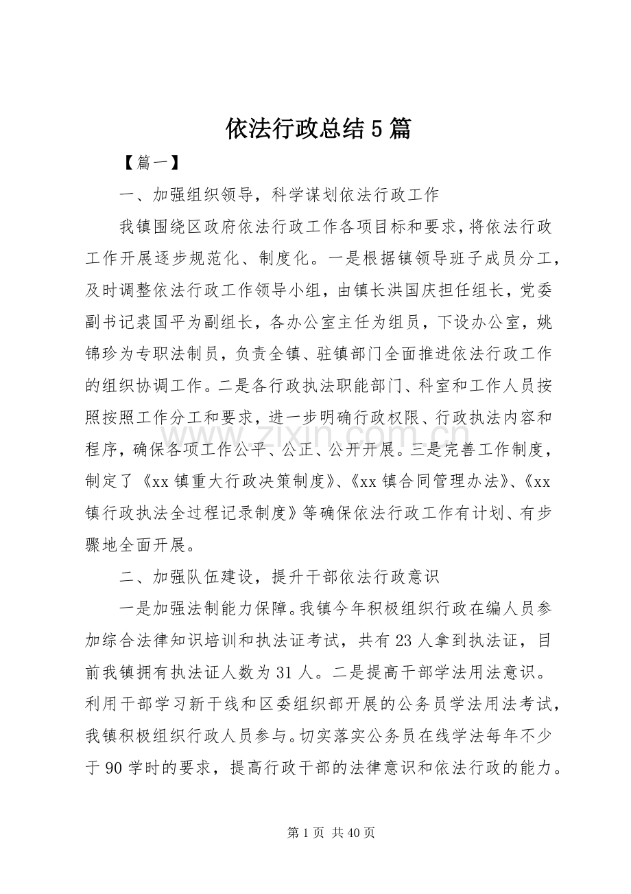 依法行政总结5篇 .docx_第1页