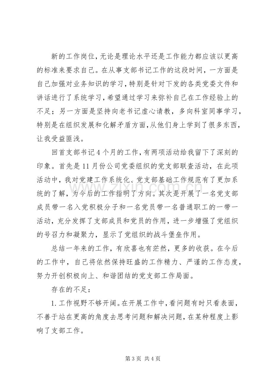 202X年支部书记个人工作总结.docx_第3页