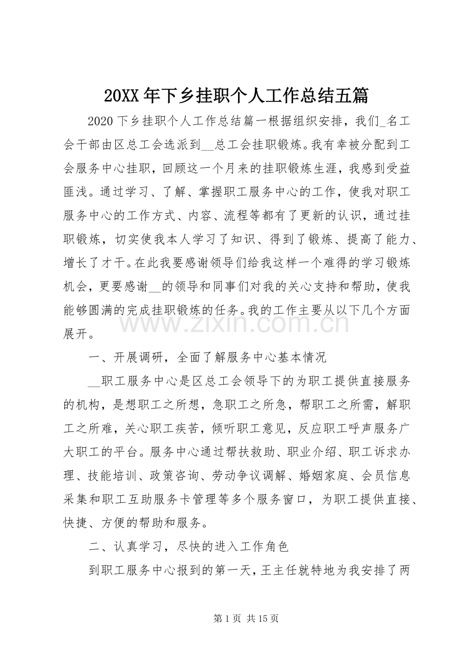 20XX年下乡挂职个人工作总结五篇.docx_第1页