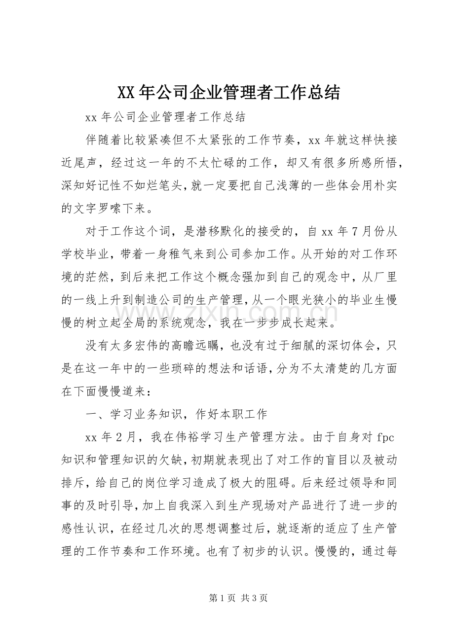 XX年公司企业管理者工作总结 .docx_第1页