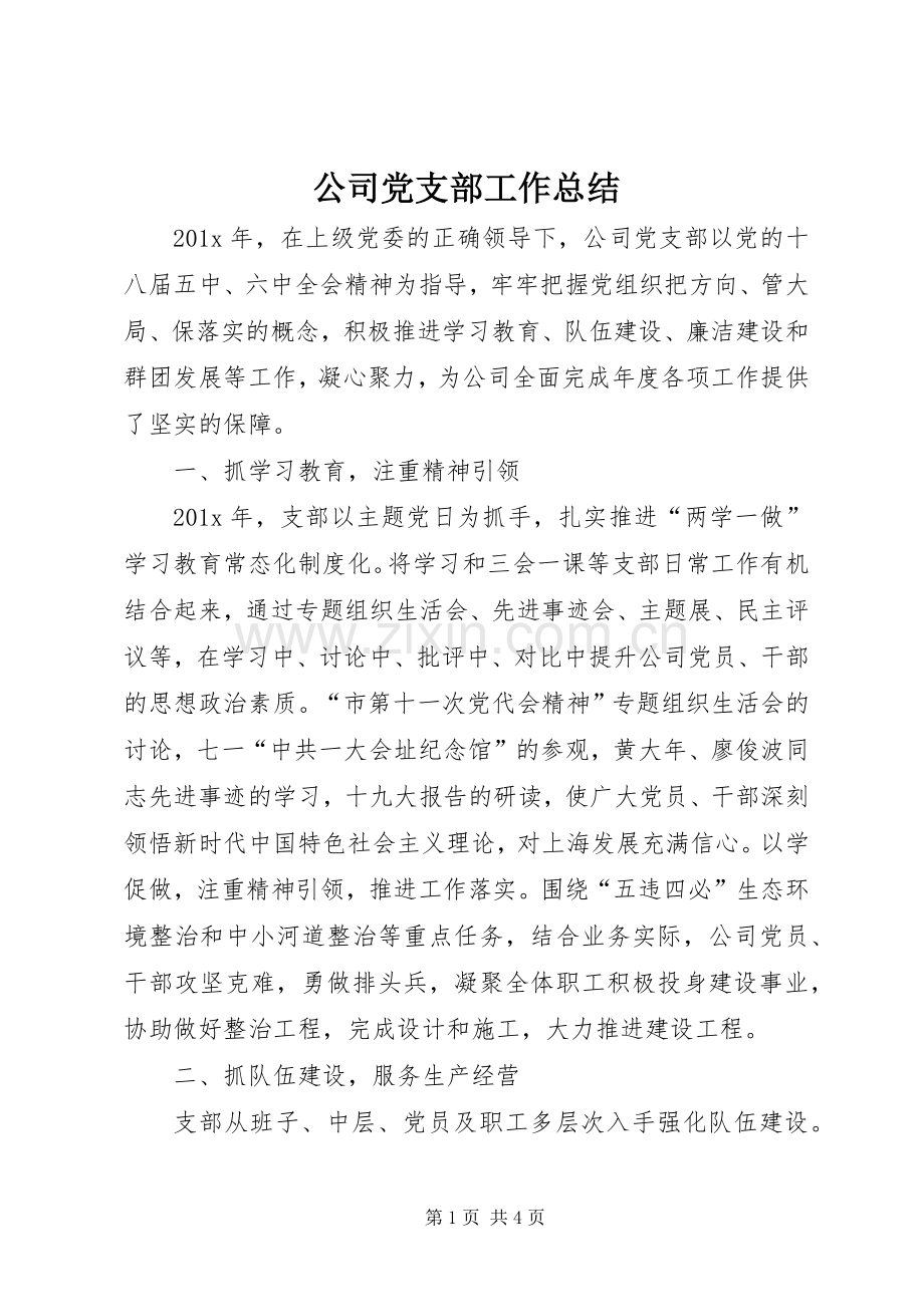 公司党支部工作总结 .docx_第1页