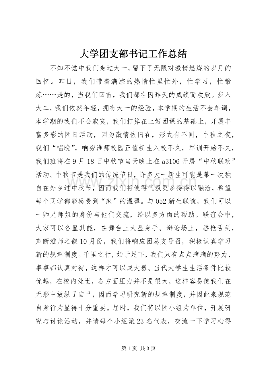 大学团支部书记工作总结 .docx_第1页