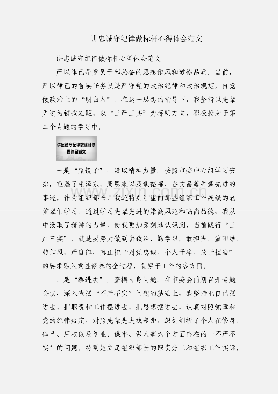 讲忠诚守纪律做标杆心得体会范文.docx_第1页