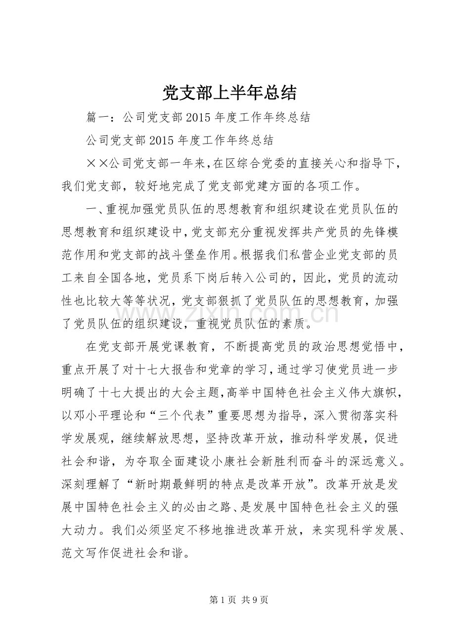 党支部上半年总结 .docx_第1页