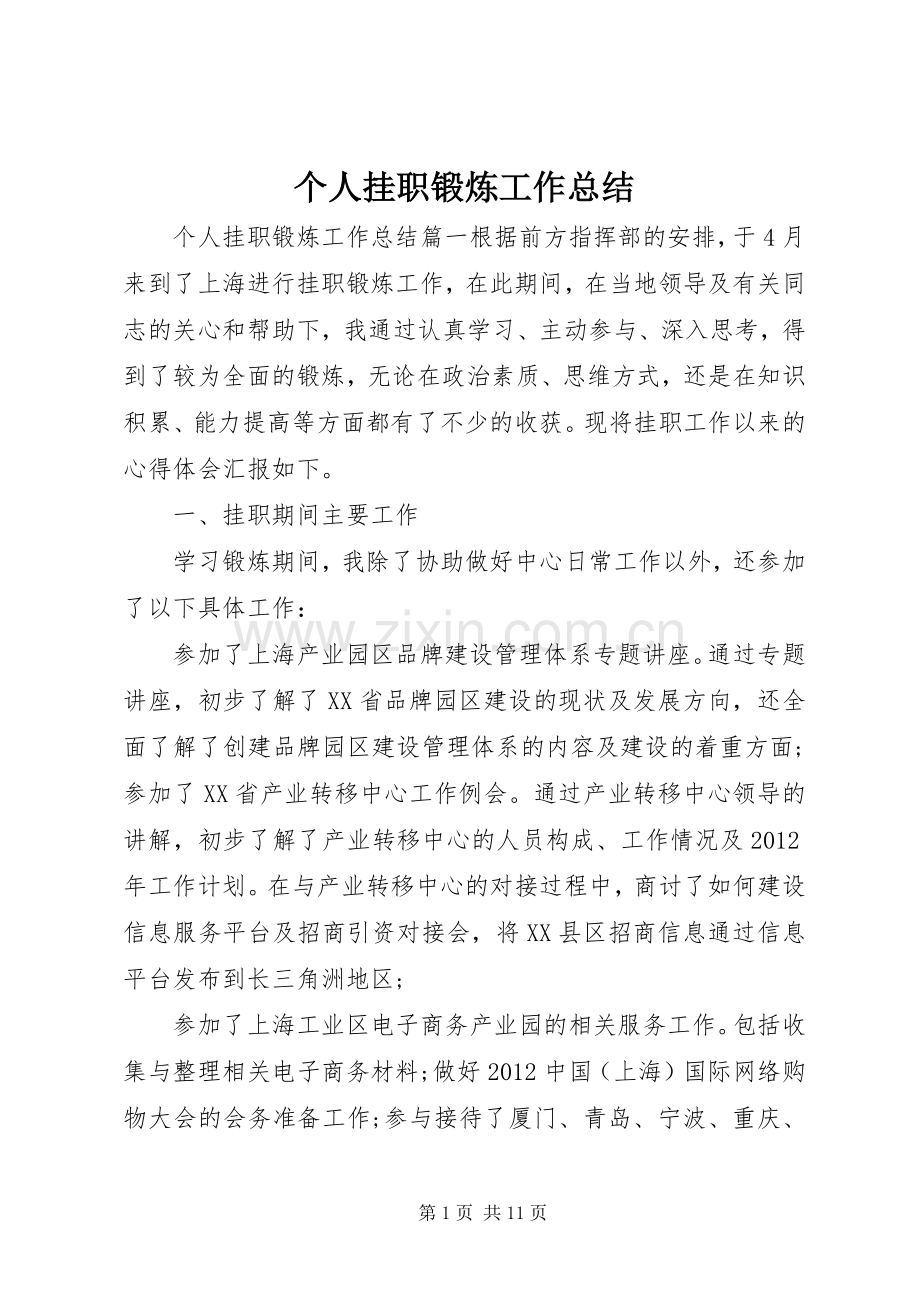 个人挂职锻炼工作总结 .docx_第1页