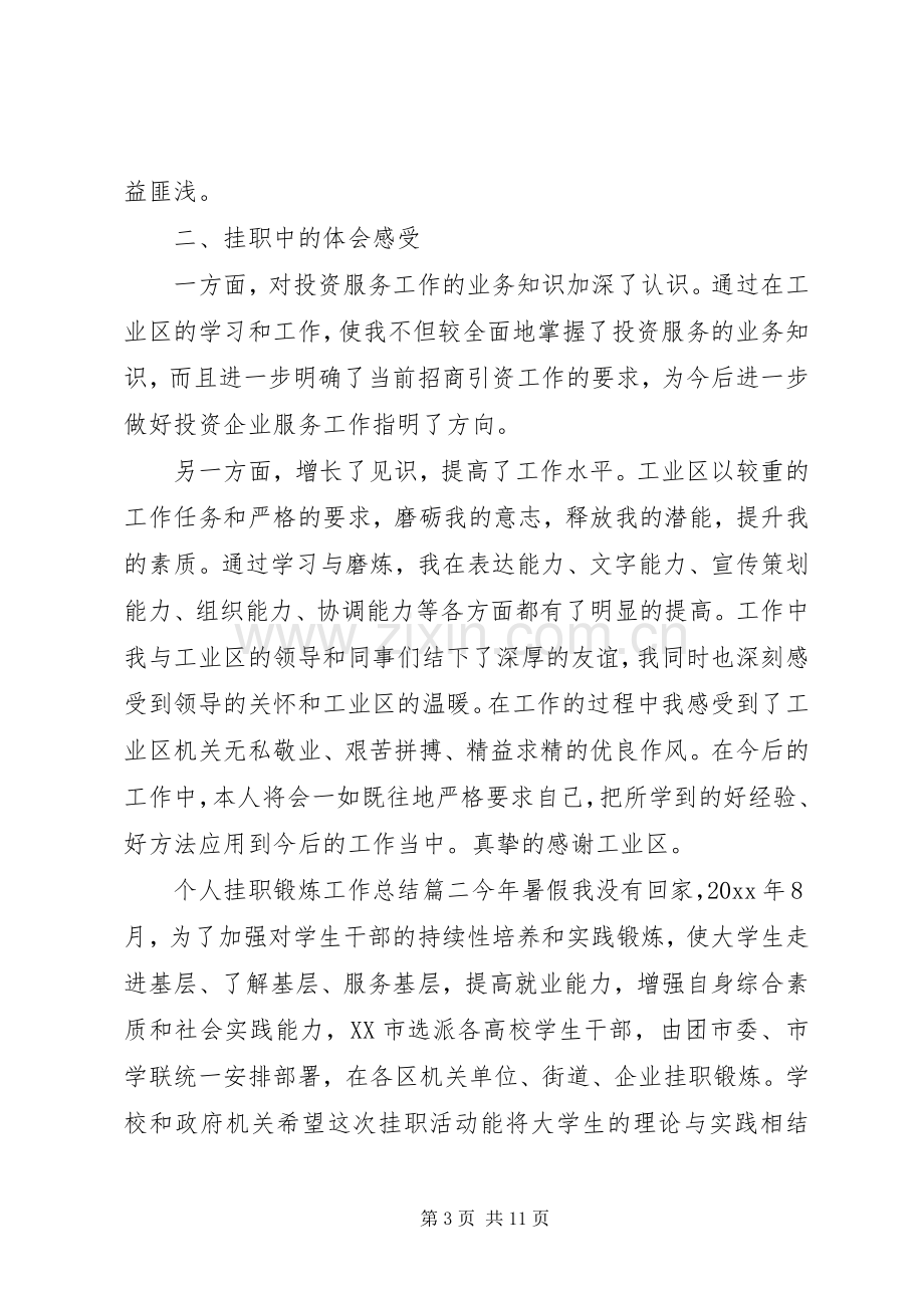 个人挂职锻炼工作总结 .docx_第3页