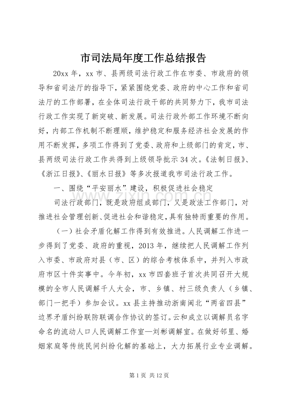 市司法局年度工作总结报告 .docx_第1页