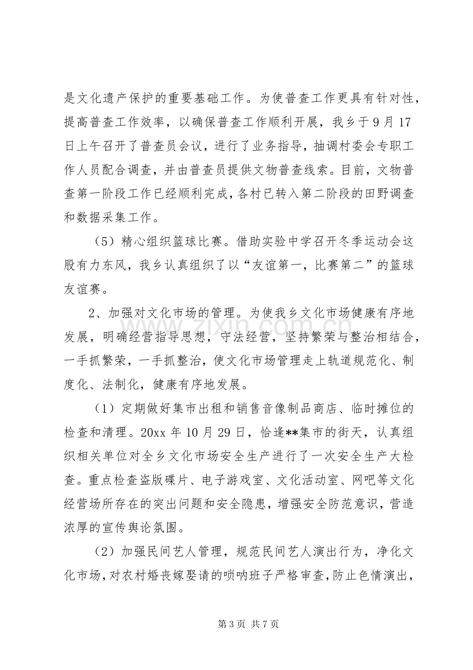 乡文化服务中心文化体育工作总结 .docx_第3页