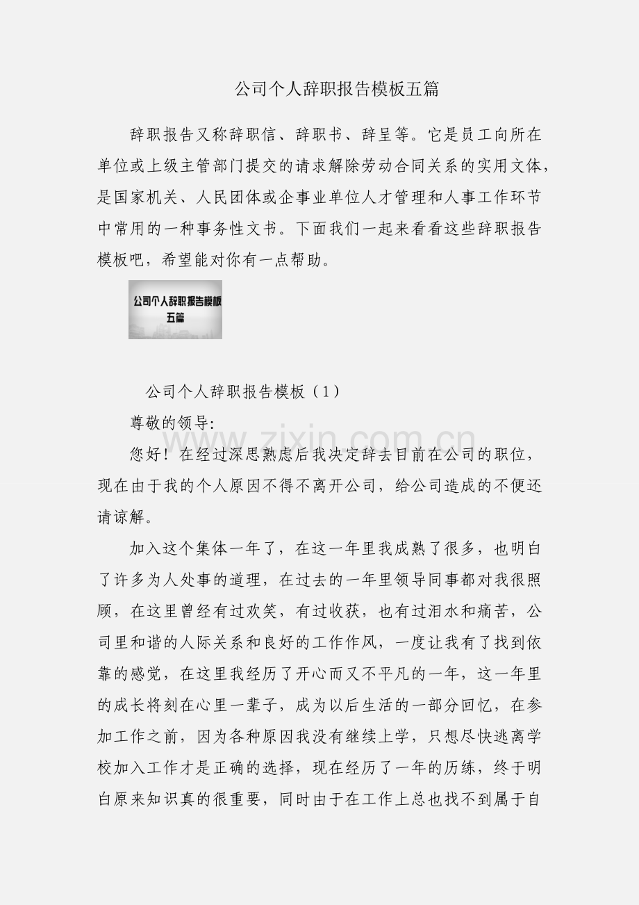 公司个人辞职报告模板五篇.docx_第1页