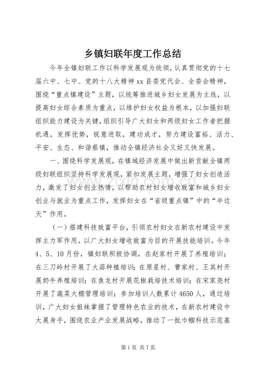 乡镇妇联年度工作总结 .docx_第1页