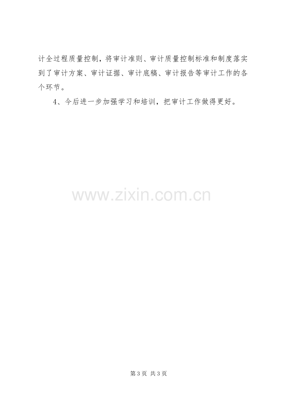 审计统计年终总结 .docx_第3页