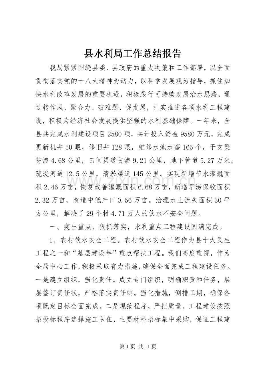 县水利局工作总结报告 .docx_第1页