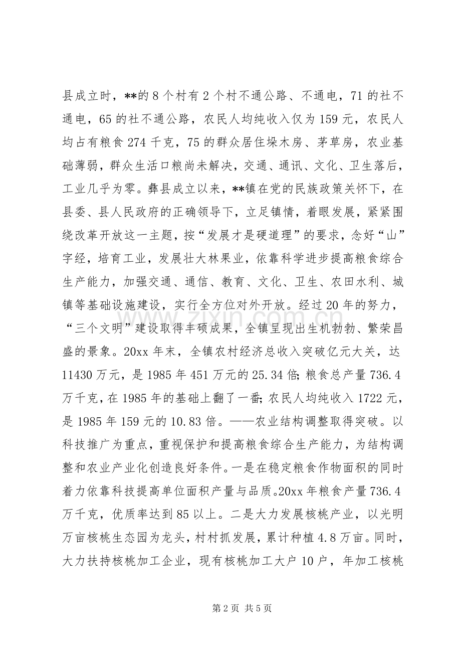 XX镇工作总结 .docx_第2页