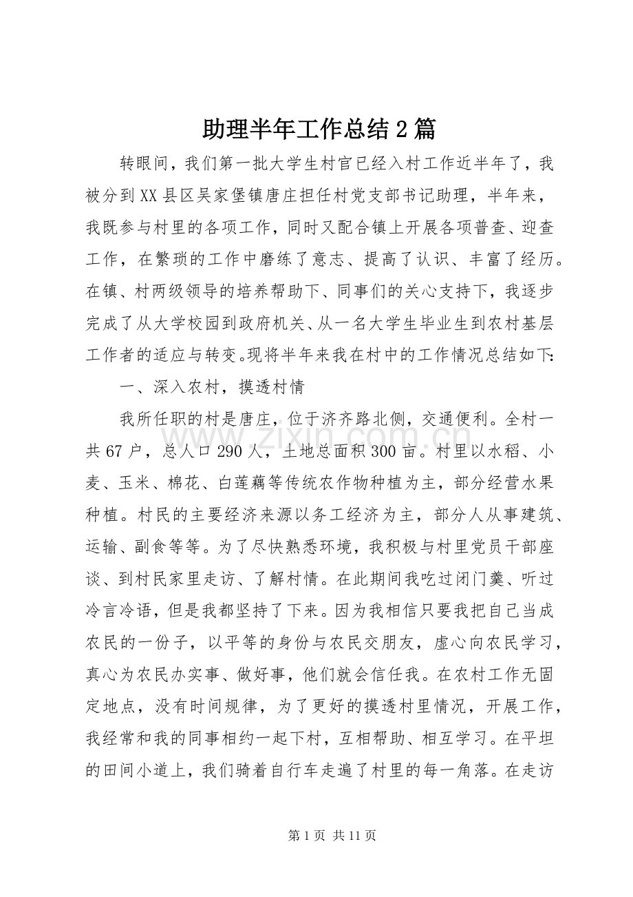 助理半年工作总结2篇.docx_第1页