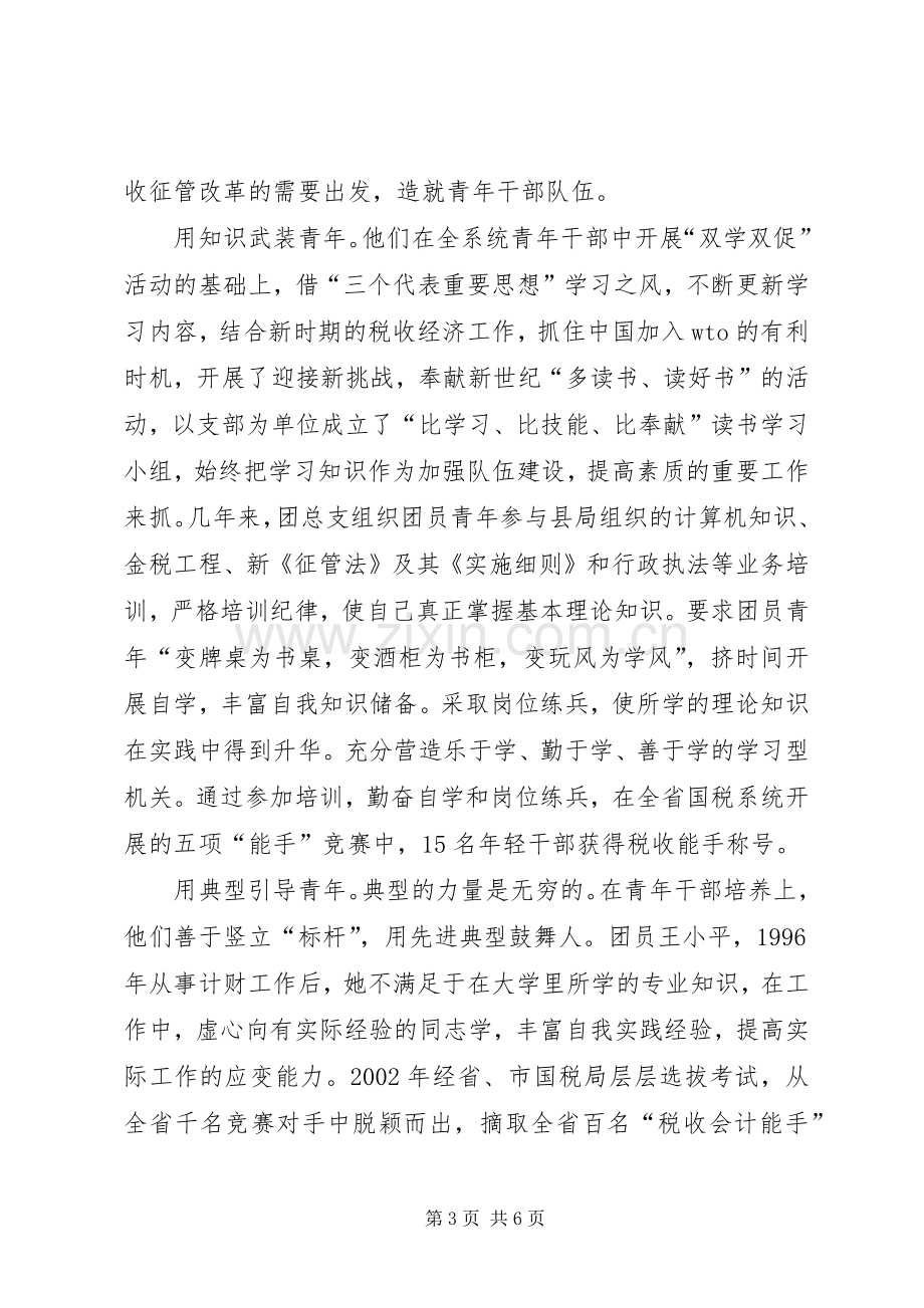 县国税局团总支强化组织建设经验总结 .docx_第3页