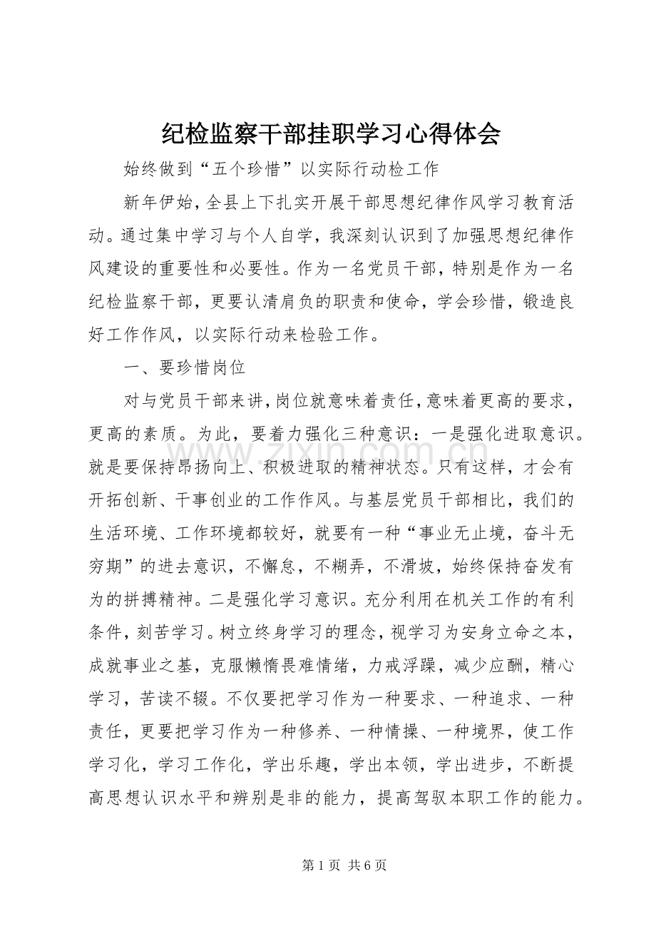 纪检监察干部挂职学习体会心得.docx_第1页