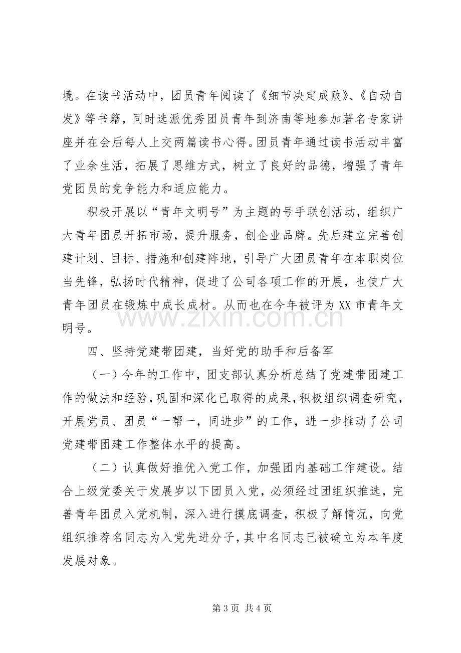 公司团支部工作总结 .docx_第3页